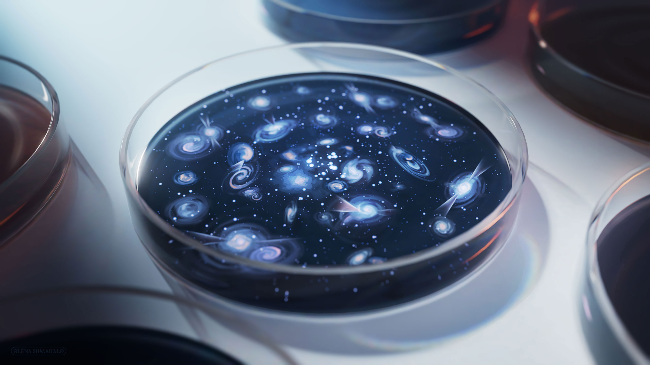 Galactic history in a Petri dish. Procedural 3D art with hand-painted textures. From the center outwards: stars and clouds of gas evolve to form spiral and elliptical galaxies and quasars. By Olena Shmahalo for NANOGrav